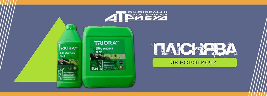 Як боротися з пліснявою?